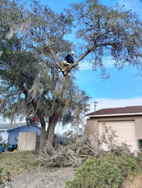 E.j.r Tree Service LLC