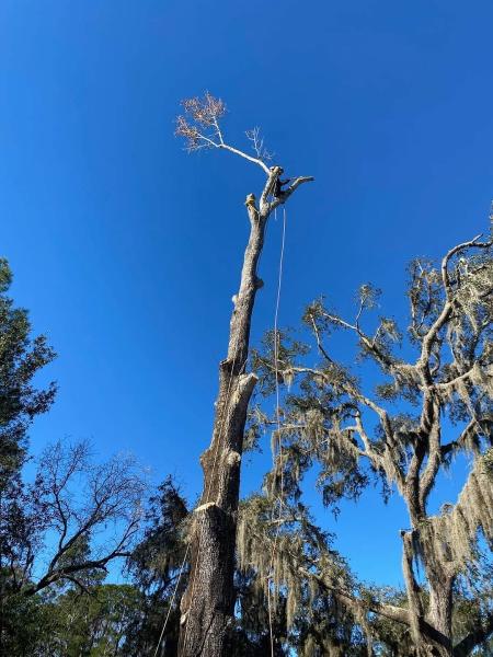 E.j.r Tree Service LLC