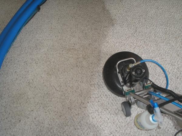 All Clean Carpet & Upholstery Inc