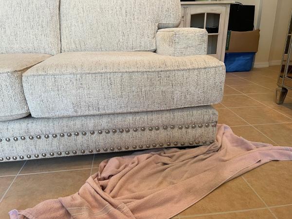 All Clean Carpet & Upholstery Inc