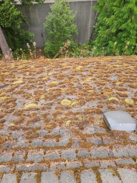All Seasons Gutters LLC