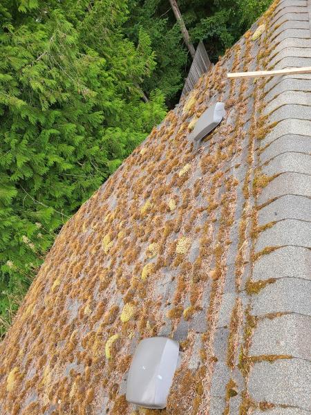 All Seasons Gutters LLC