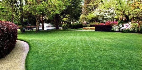 Harrell Family Lawn Care