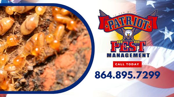 Patriot Pest Management