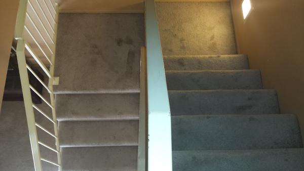 Integrity Cleaning Systems