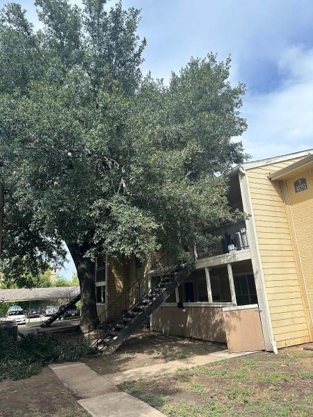 Juan C Lopez Landscaping