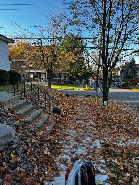 Ascape Landscaping