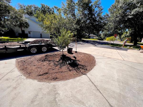 All Season Landscapes