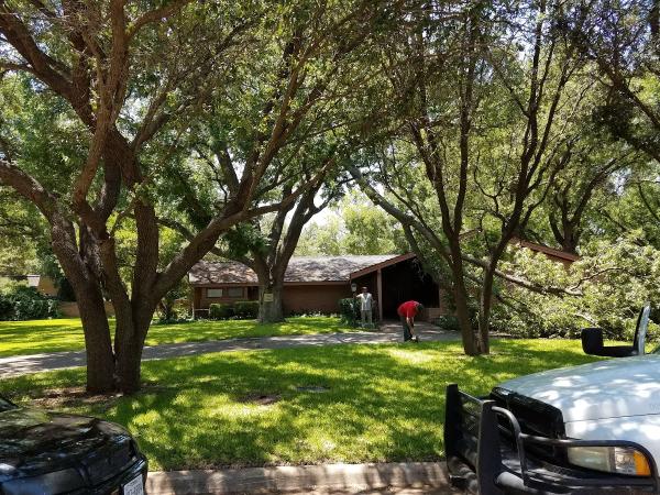 Mankin Landscaping & Tree Service Inc