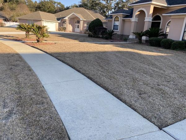 Lawn Team Pensacola