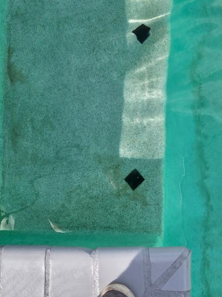Pool Medic Inc
