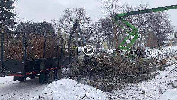 Easy Tree Service