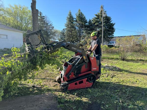 Easy Tree Service
