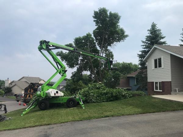 Easy Tree Service