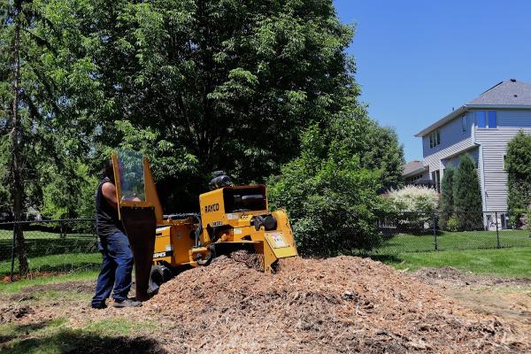 Easy Tree Service
