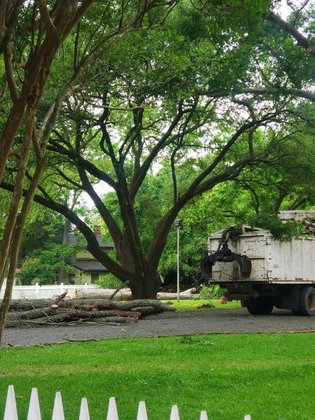J and J Custom Tree Service