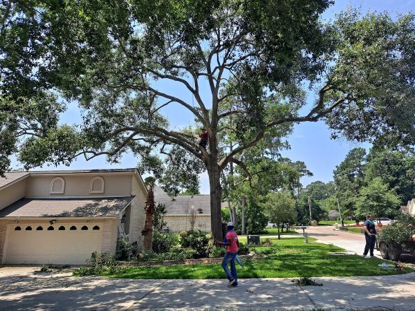 J and J Custom Tree Service