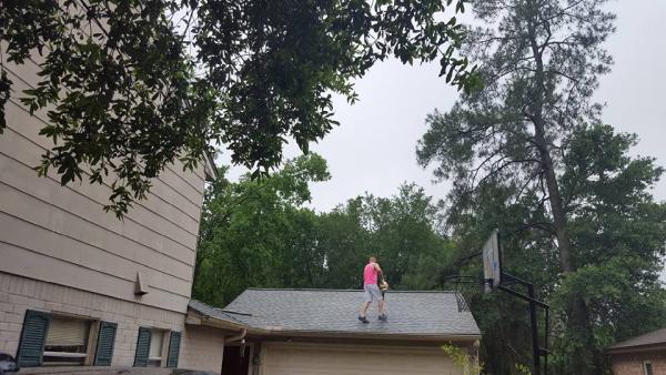 J and J Custom Tree Service