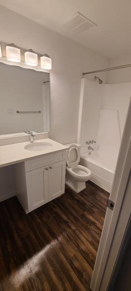 Premium Cleaning Services