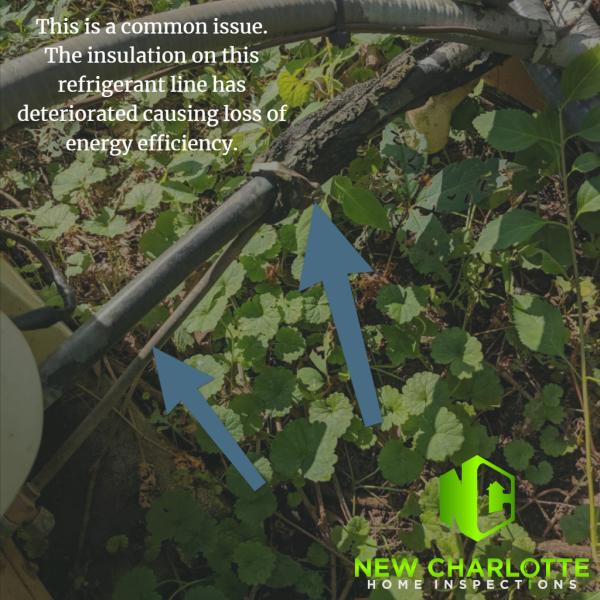 New Charlotte Home Inspections