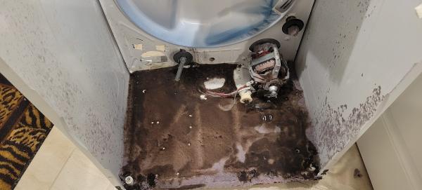 Flying Eagle Appliance Repair LLC