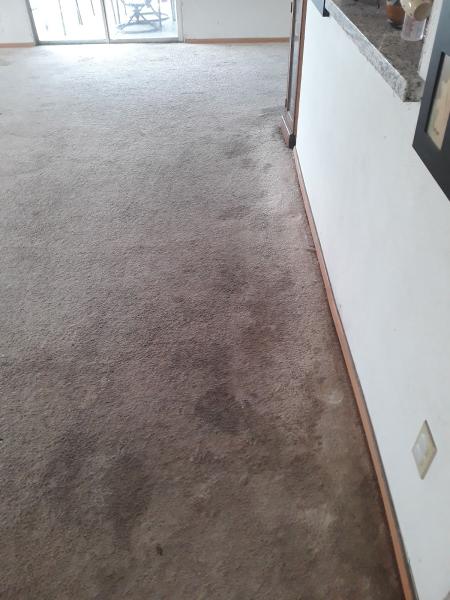 Golden Carpet and Floor Care