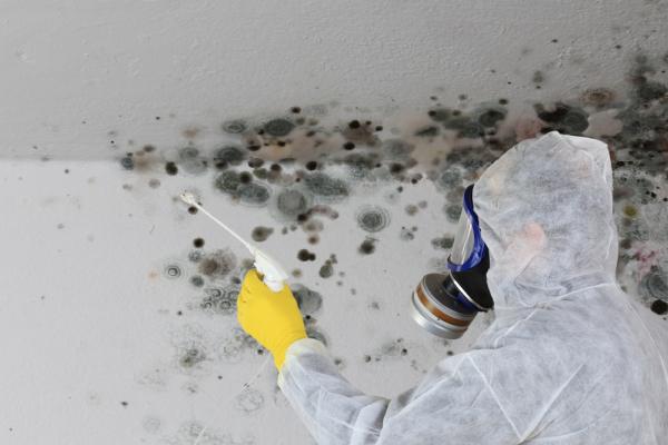 1-800-Dry-me-Out • Water Damage Restoration • New Port Richey FL