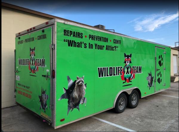 Wildlife X Team