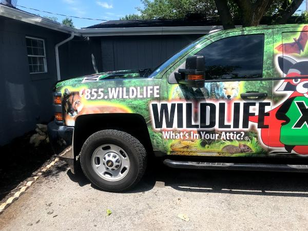 Wildlife X Team