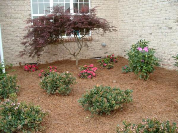 GLS Landscaping & Maintenance