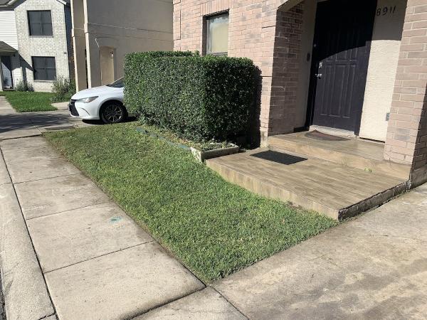 Leaf and Property Cleanup Lawn Care