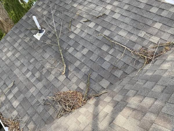 Ethan Gutter Cleaning
