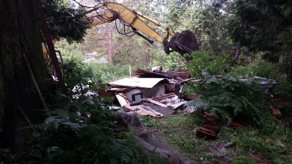 Northwest Brush Busters