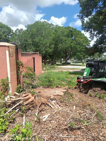 Releaf Tree Services LLC