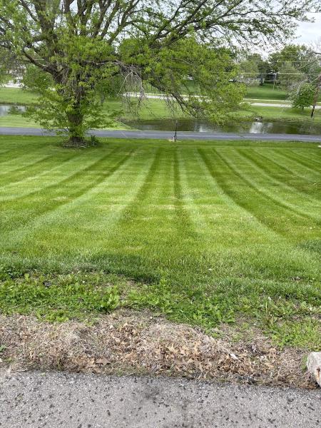 Patricut Lawn Care Service LLC