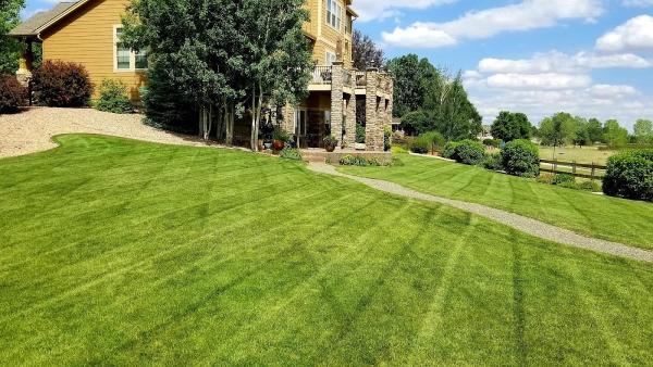 Epic Lawn Pro