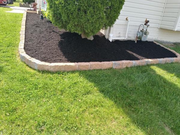 Clean Cuts Lawn Care