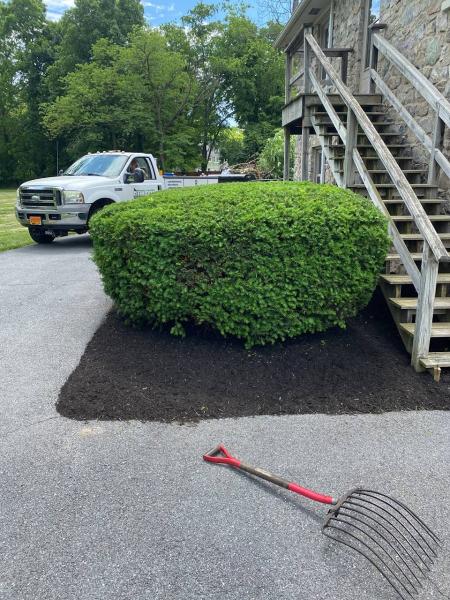 Clean Cuts Lawn Care