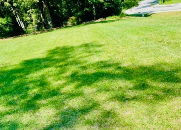 Lanier South Lawn Care