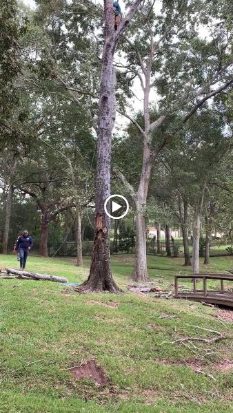 On Point Tree Service