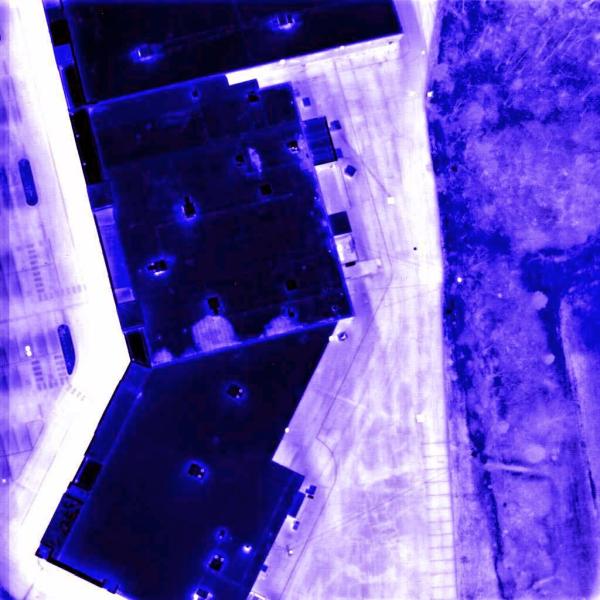 Infrared Roof Inspectors
