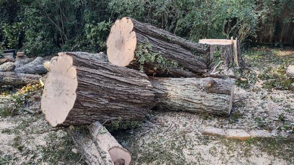 J R Tree Service & Landscaping
