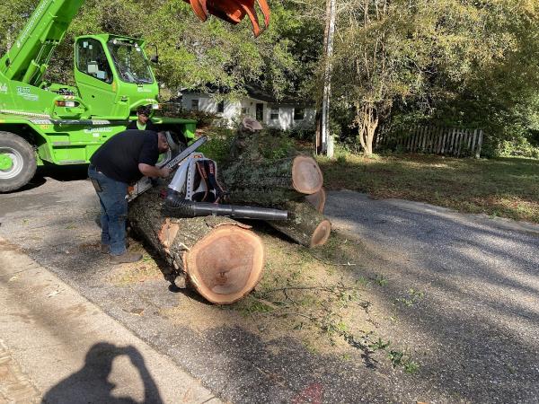 Big Green Tree Machine