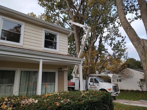 Simo Brothers Tree Service