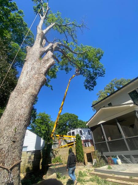 Perez Tree Recycling LLC