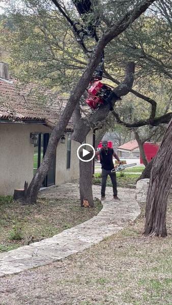 Larry's Tree Service