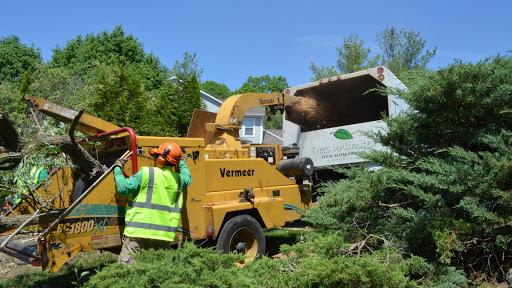 Trees Unlimited LLC