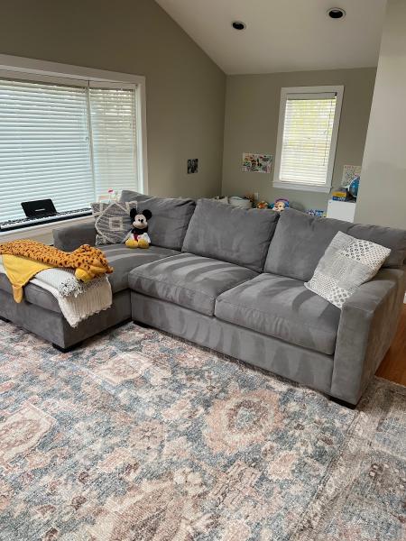 SNF Cleaning Services
