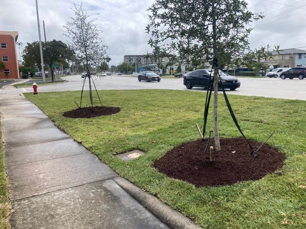 Top Cut Landscaping and Tree Service