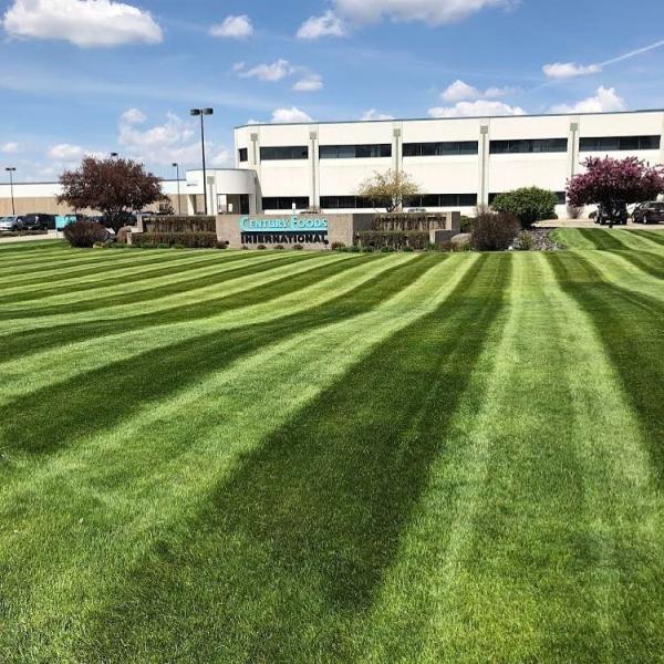 River City Lawnscape Inc